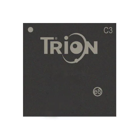 T13F169C3 Efinix, Inc.