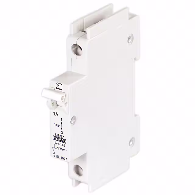 C1A1P American Electrical Inc.