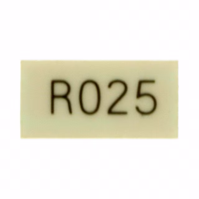 FCSL90R025FER Ohmite