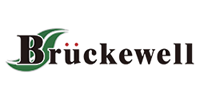 Bruckewell Electronic Component Manufacturer