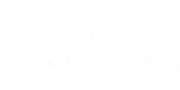 Luminary Micro Division of Texas Instruments Electronic Component Manufacturer